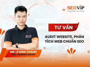 Tư vấn Audit Website, phân tích web chuẩn SEO